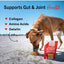 Stella & Chewy's, Bountiful Beef Bone Broth  Recipe for Dogs. 454 ml.
