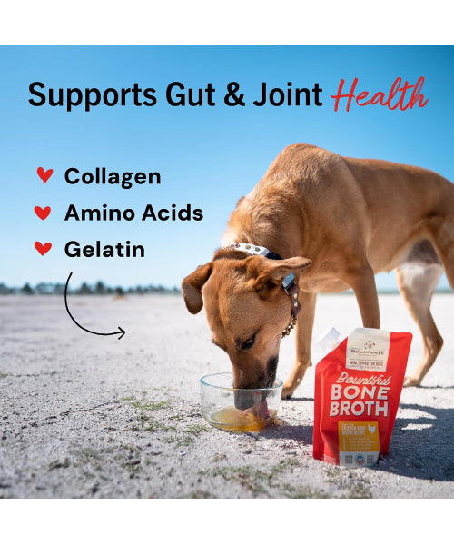 Stella & Chewy's, Bountiful Beef Bone Broth  Recipe for Dogs. 454 ml.