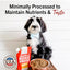 Stella & Chewy's, Bountiful Beef Bone Broth  Recipe for Dogs. 454 ml.