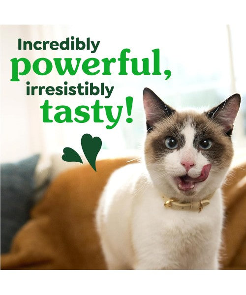 Greenies, Feline Natural Dental Cat Treats, sabor Pollo Rostizado. 3 tamaños