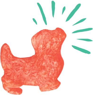 Plus Holiday Cheer Chicken, Beef & Vegetable Flavor Dog Treats, 24.5-oz bag