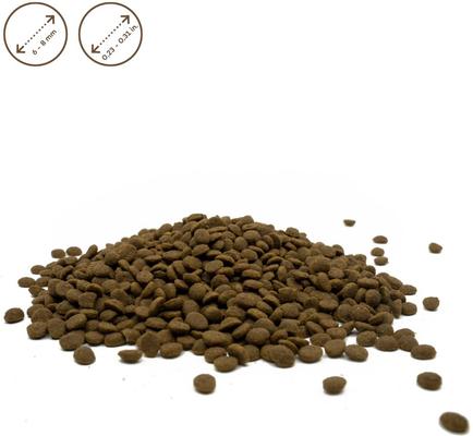 Superior Care Adult Small Breed Grain-Free Lamb Dry Dog Food, 22-lb bag