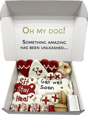Human-Grade Get Well Soon Dog Treats Gift Box, 21 count