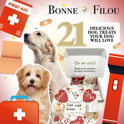 Human-Grade Get Well Soon Dog Treats Gift Box, 21 count