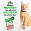 Greenies, Feline Smartbites Skin and Fur sabor Salmón. 3 tamaños