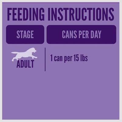 Chicken & Rice Dinner Wet Dog Food, 13.2-oz can, case of 12