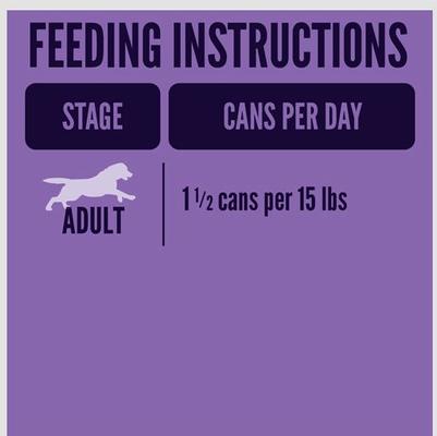 Cuts in Gravy with Beef Wet Dog Food, 13.2-oz can, case of 12