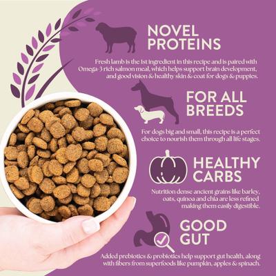 Unrefined Roasted Lamb with Ancient Grains & Superfoods Dry Dog Food, 4-lb bag