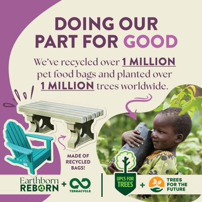 Unrefined Roasted Lamb with Ancient Grains & Superfoods Dry Dog Food, 4-lb bag