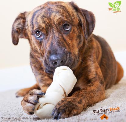 4 to 5-in Knotted Bones Rawhide Dog Treats, 30 count