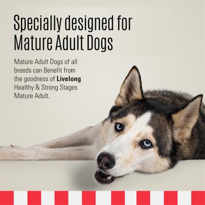 Stages Mature Adult Wet Dog Food, 12.5-oz can