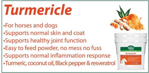 Turmericle Powder Dog Supplement, 1-lb