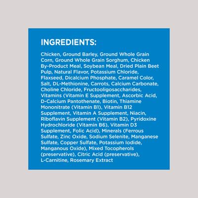 Paquete: Iams MiniChunks Small Kibble + Alimento seco para perros ProActive Health Healthy Weight