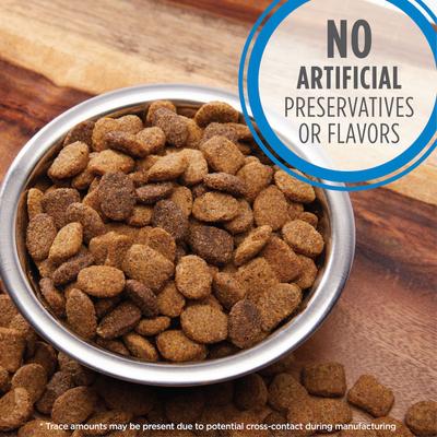 Paquete: Iams MiniChunks Small Kibble + Alimento seco para perros ProActive Health Healthy Weight