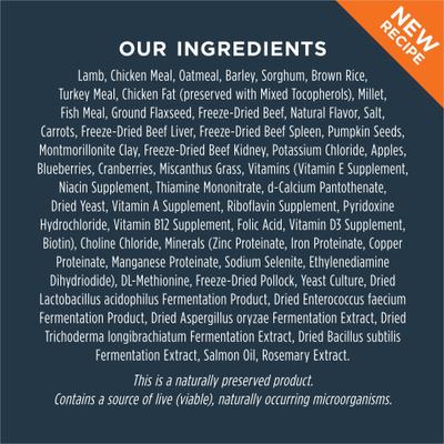 Raw Boost Whole Grain Real Salmon & Brown Rice Recipe Dry Dog Food, 3.5-lb bag