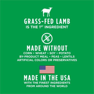 Raw Boost Whole Grain Real Salmon & Brown Rice Recipe Dry Dog Food, 3.5-lb bag