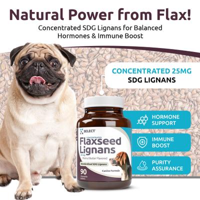 Flaxseed Peanut Butter SDG Lignans Dog Hormone Supplement, 20 mg, 90 count