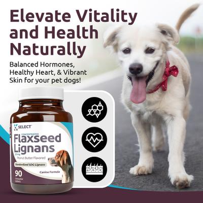 Flaxseed Peanut Butter SDG Lignans Dog Hormone Supplement, 20 mg, 90 count