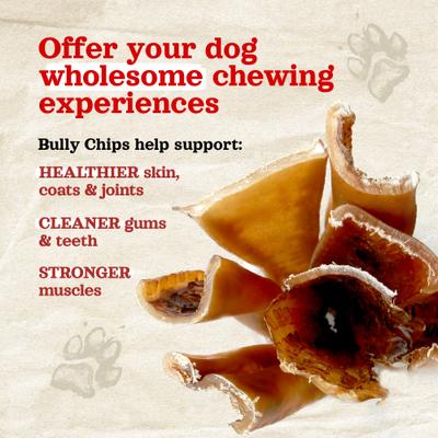 9 to 12-in Beef Bully Chips Dog Treats, 16-oz bag