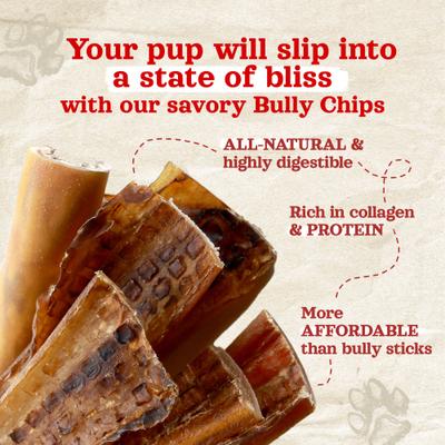 9 to 12-in Beef Bully Chips Dog Treats, 16-oz bag