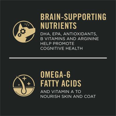 Sport Performance Adult 7+ High-Protein 30/17 Chicken & Rice Formula Dry Dog Food, 4-lb bag