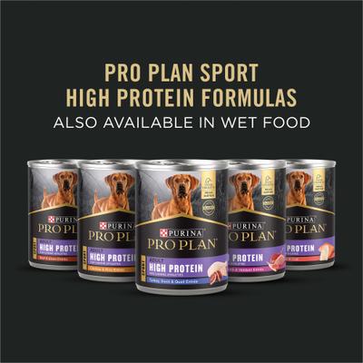 Sport Performance Adult 7+ High-Protein 30/17 Chicken & Rice Formula Dry Dog Food, 4-lb bag