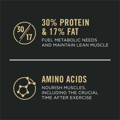 Sport Performance Adult 7+ High-Protein 30/17 Chicken & Rice Formula Dry Dog Food, 4-lb bag