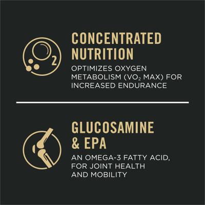 Sport Performance Adult 7+ High-Protein 30/17 Chicken & Rice Formula Dry Dog Food, 4-lb bag