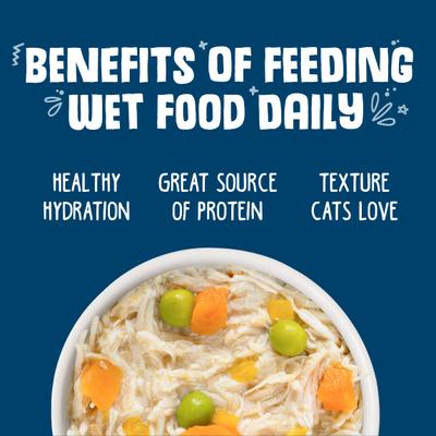 Grandma's Chicken Soup Chicken & Pumpkin in Gravy Grain-Free Wet Cat Food, 5.5-oz, case of 24