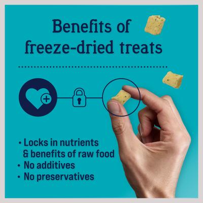 Shine Salmon & Sweet Potato Recipe Grain-Free Freeze-Dried Dog Treat, 4-oz bag