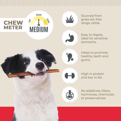 Mega Monster Bully Sticks 12-in Dog Treats, 3 count