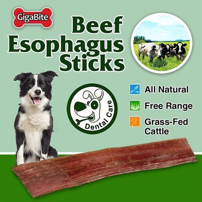 GigaBite Beef Esophagus Dog Treats, 10 count