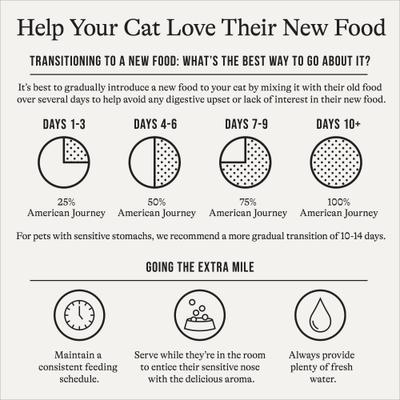 Minced Chicken & Salmon Recipe in Gravy Grain-Free Canned Cat Food, 3-oz can, case of 24