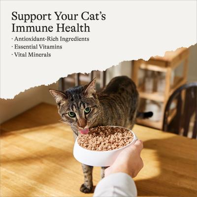 Minced Chicken & Salmon Recipe in Gravy Grain-Free Canned Cat Food, 3-oz can, case of 24