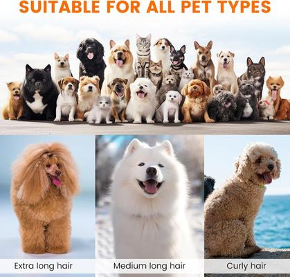 PG10 Dog & Cat Grooming Vacuum Kit, White/ Orange