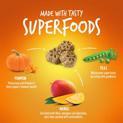 Bundle: Variety Pack - Fruitables Skinny Minis Pumpkin & Mango Flavor Soft & Chewy Dog Treats, Chicken & Apple Bacon Flavors