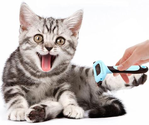 Undercoat Deshedding Brush for Short Haired Dog & Cat Shedding Control & Grooming Tool