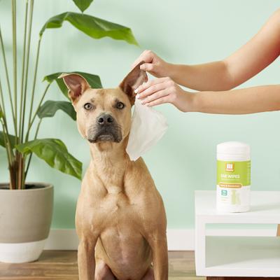 Cucumber Melon Dog & Cat Ear Wipes, 70 count