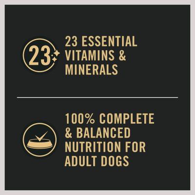 Sensitive Skin & Stomach Pate Salmon & Rice Entree Wet Dog Food, 13-oz can, case of 4