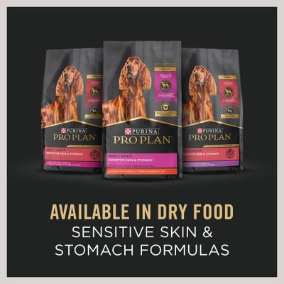 Sensitive Skin & Stomach Pate Salmon & Rice Entree Wet Dog Food, 13-oz can, case of 4