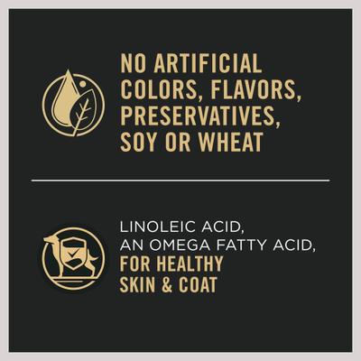 Sensitive Skin & Stomach Pate Salmon & Rice Entree Wet Dog Food, 13-oz can, case of 4