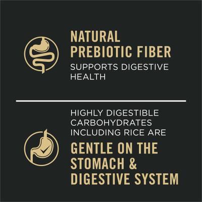 Sensitive Skin & Stomach Pate Salmon & Rice Entree Wet Dog Food, 13-oz can, case of 4