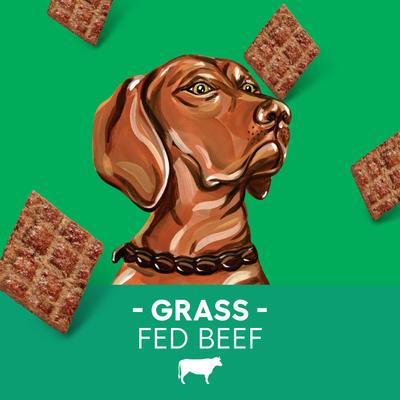 Bundle: Newman's Own Beef Jerky Original Recipe + Beef Jerky Beef & Sweet Potato Recipe Dog Treats