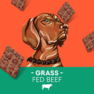 Bundle: Newman's Own Beef Jerky Original Recipe + Beef Jerky Beef & Sweet Potato Recipe Dog Treats