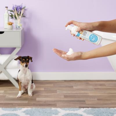Sweet Pea & Vanilla Foaming for Puppies Tearless Formula Dog Shampoo, 7-fl oz bottle