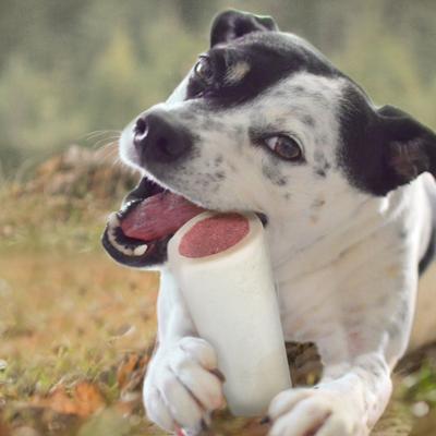 Stuffed Shin Bones Beef Flavor Dog Bones, Small