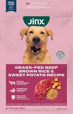 Beef, Brown Rice & Sweet Potato ALS Kibble Dog Dry Food, 4-lb bag