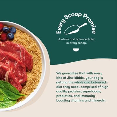 Alimento seco para perros con carne de res, arroz integral y boniato ALS Kibble, bolsa de 4 lb