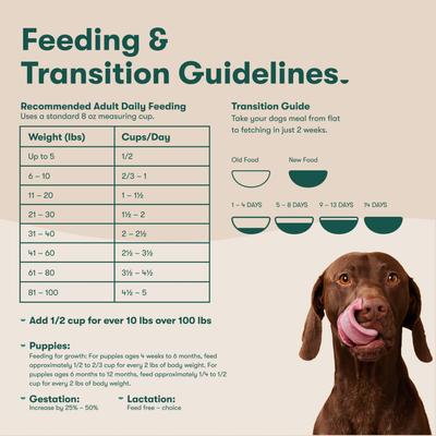 Alimento seco para perros con carne de res, arroz integral y boniato ALS Kibble, bolsa de 4 lb