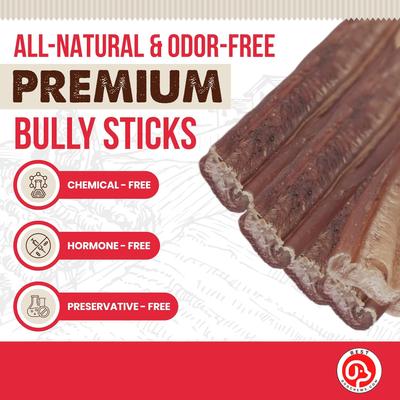 Thin Bully Sticks 12-in Dog Treats, 6 count